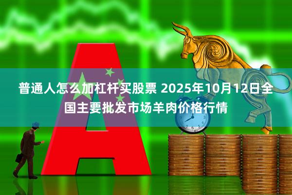 普通人怎么加杠杆买股票 2025年10月12日全国主要批发市场羊肉价格行情